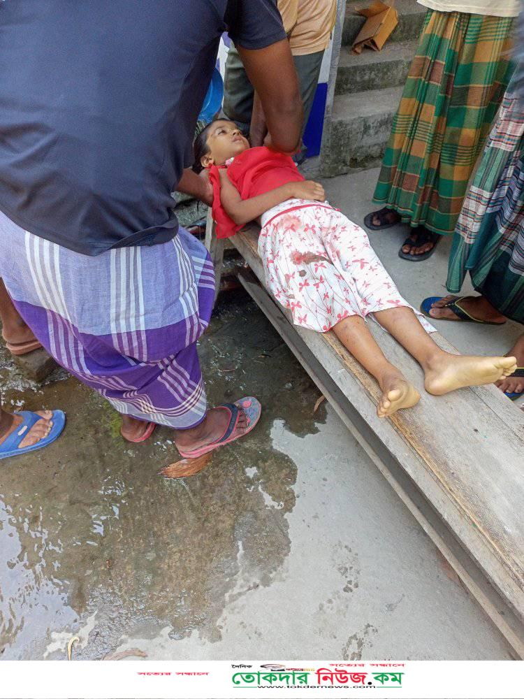 ছবি:দৈনিক তোকদার নিউজ পোটাল থেকে,সড়ক দুর্ঘটনায় প্রাণ হারালেন রোগীসহ ৫ জন