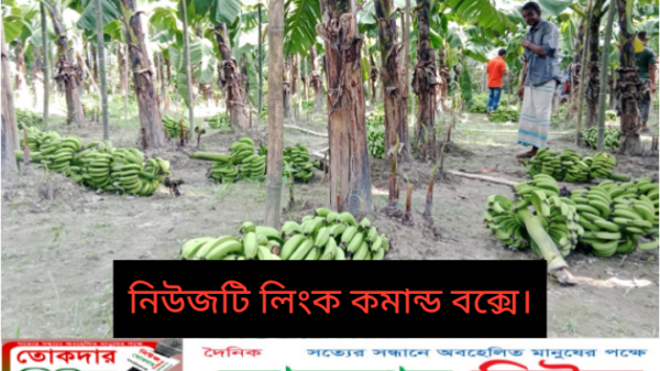 প্রবাসীর সঙ্গে এ কেমন শত্রুতা সংবাদটি পড়ুন